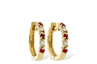 F055-48298: EARRINGS .17 RUBY .26 TGW