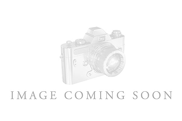 G327-35589: K243-67425 IN PLATINUM .25 TW