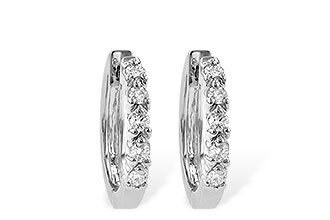 H055-48289: EARRINGS .25 TW