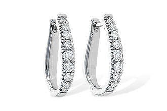 K244-57434: EARR .50 TW